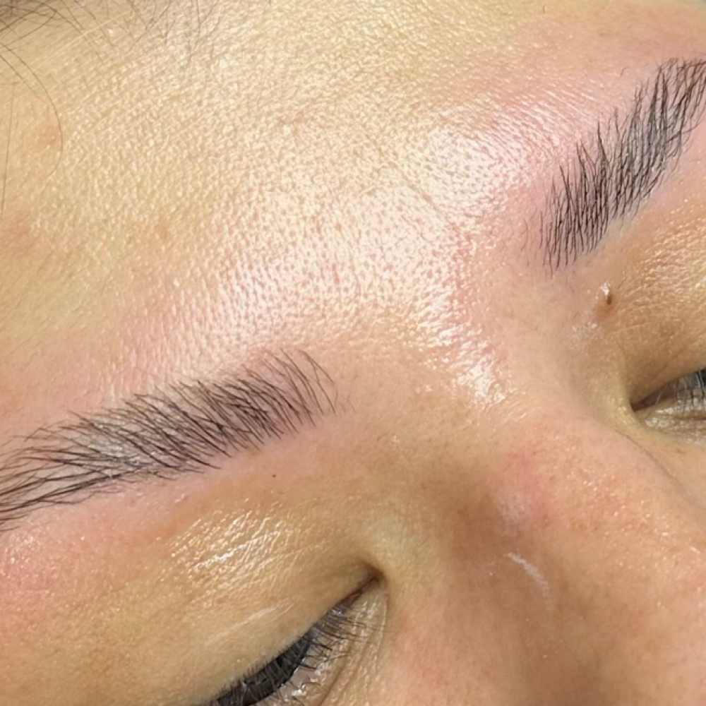 Lamination, Shape & Tint at giusiskin in Pasadena, TX
