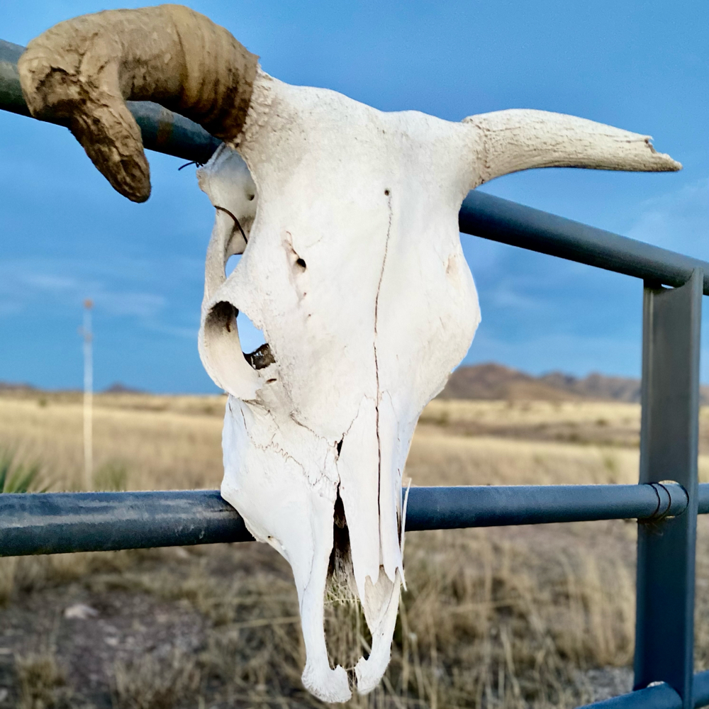 men's cut w/margie at Voila Salon in Roswell, GA