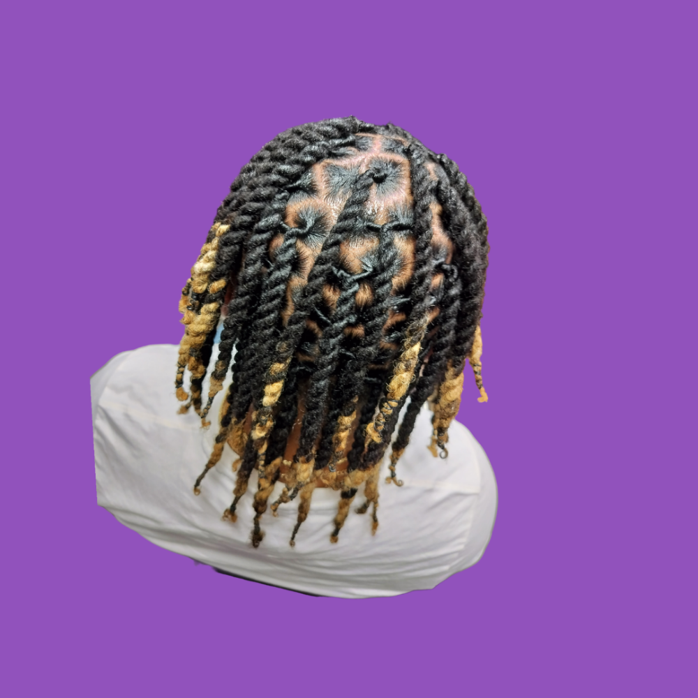 Wash+Retwist+Style $115