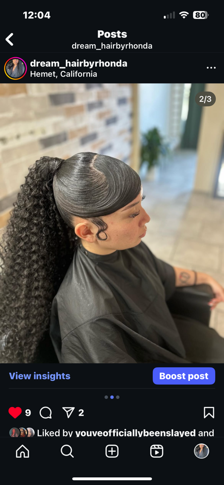 Sleek Ponytail