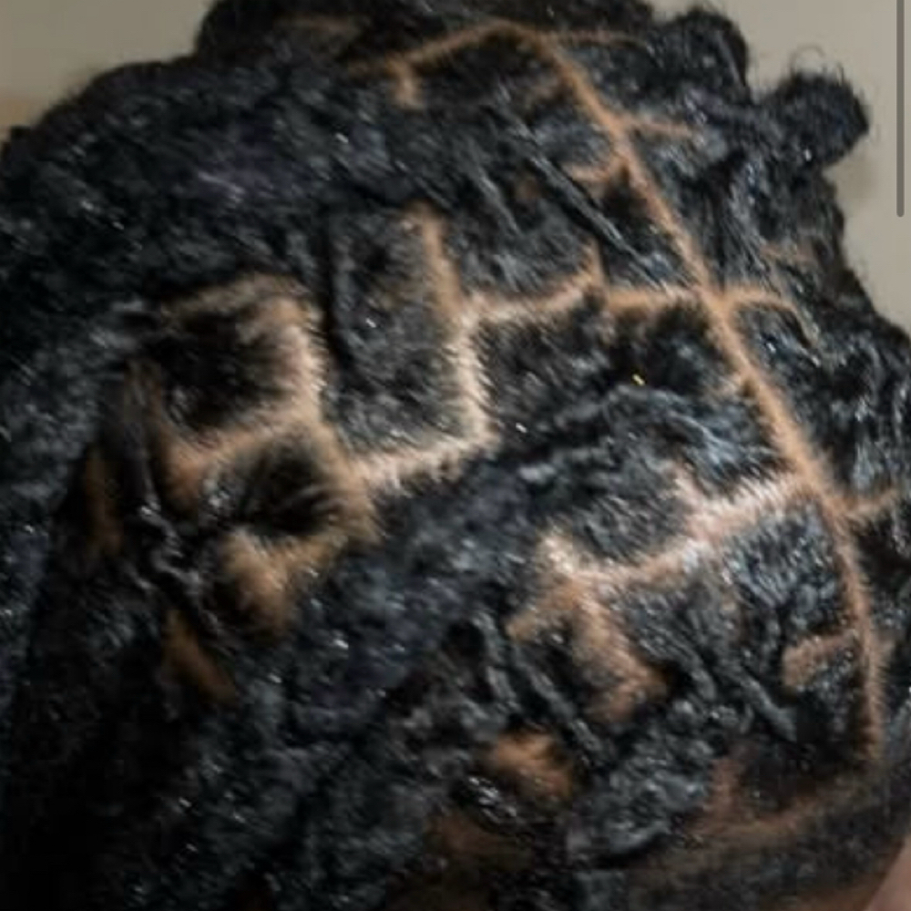 Retwist at kyasbraidingempiree in bryans road, MD