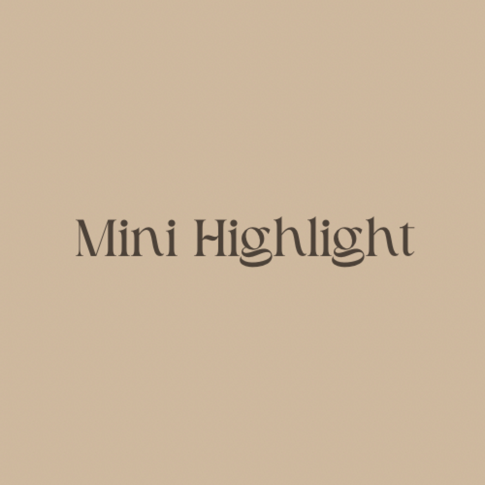 Mini Highlight at The Bronze Beauty Collective in Covington, LA