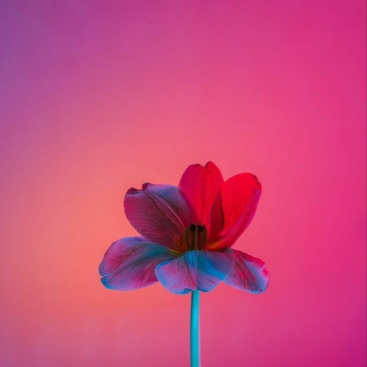 ADD ON- mobile service at Florezco Bodywork in phoenix, AZ