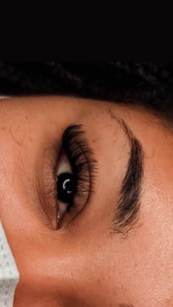 Lash SET Freestyles