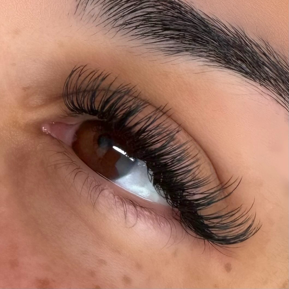 2-3 Week Light Hybrid Touch Up at Miranda Studio in Corodva, TN