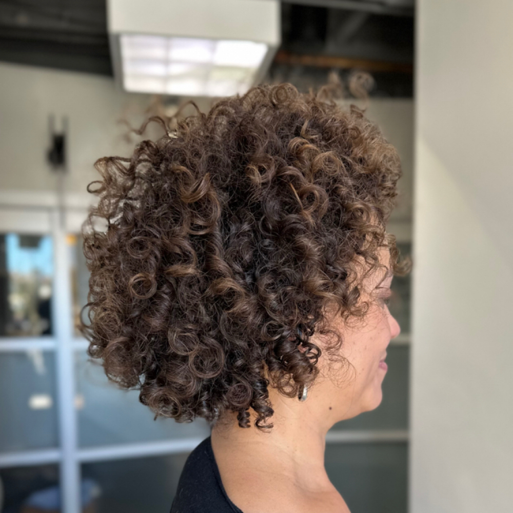 Curly Crown Shape & Go Slay at Lionessa Beauty in San Diego, CA