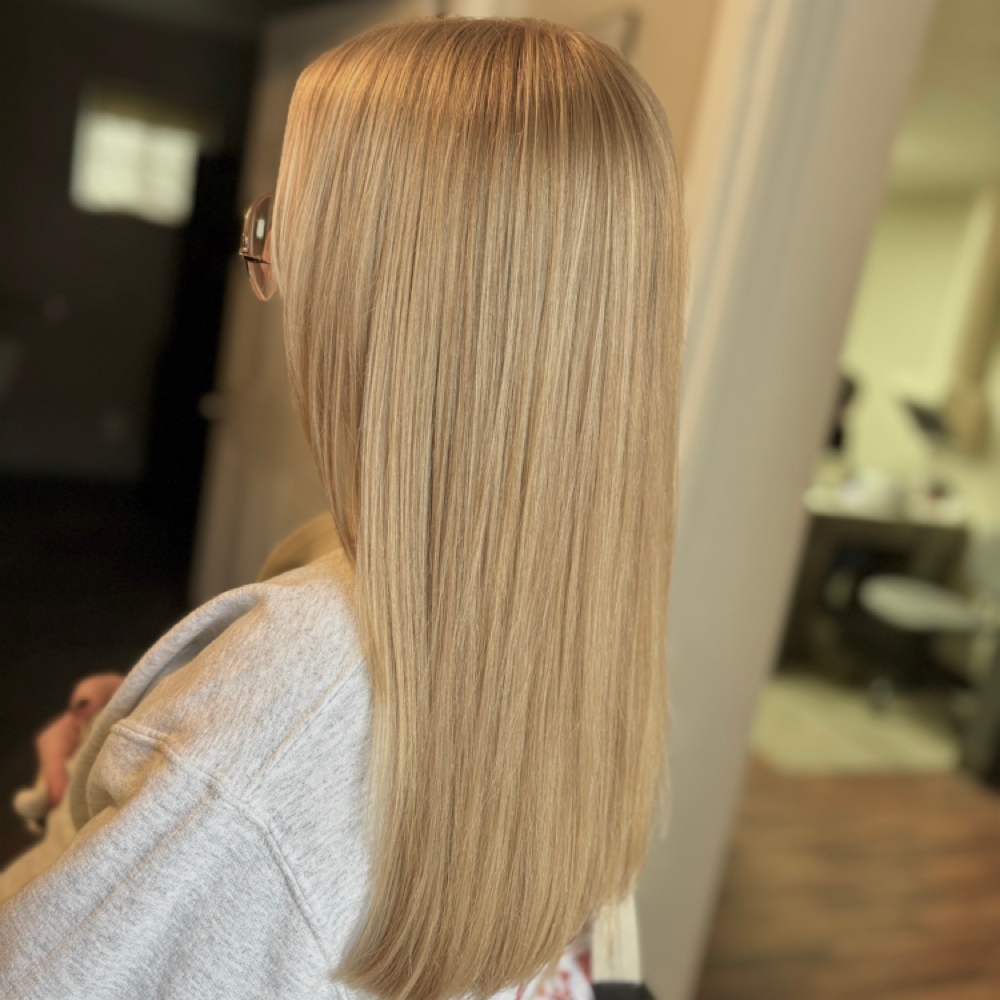 Basic Haircut at Megan Gimmarco in Warren, OH