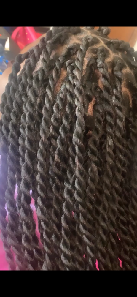 Small/ Medium Twist