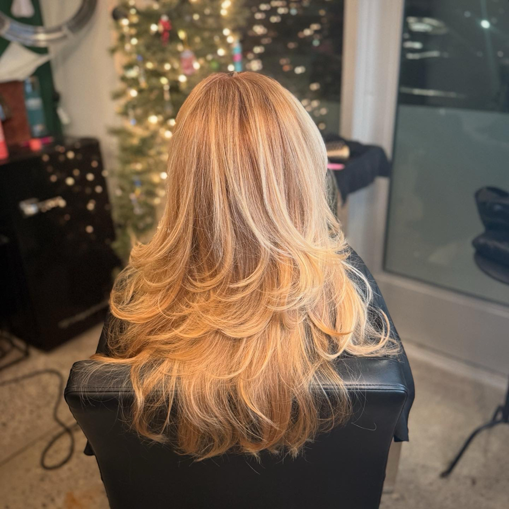 Partial Highlight, Haircut and Blow-Dry