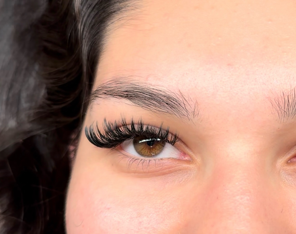 Signature Wet Set Fill