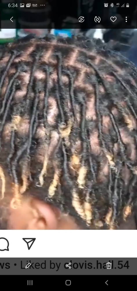 Starter Locs (Twist)