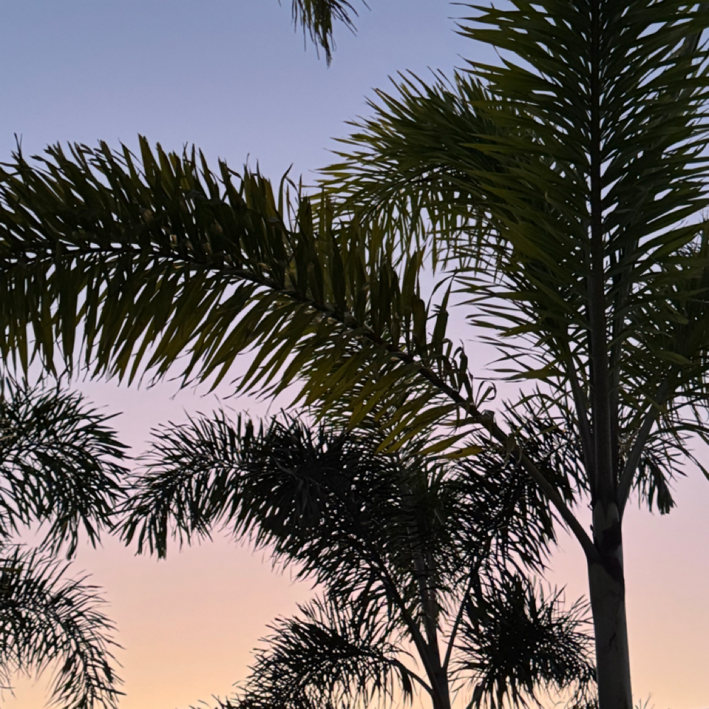 Gloss & Go at Salon Canvas & Social in South Pasadena, FL