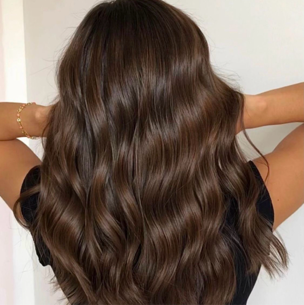 All Over Color at Brittany George at Loft Esthetics Salon in Lambertville, MI