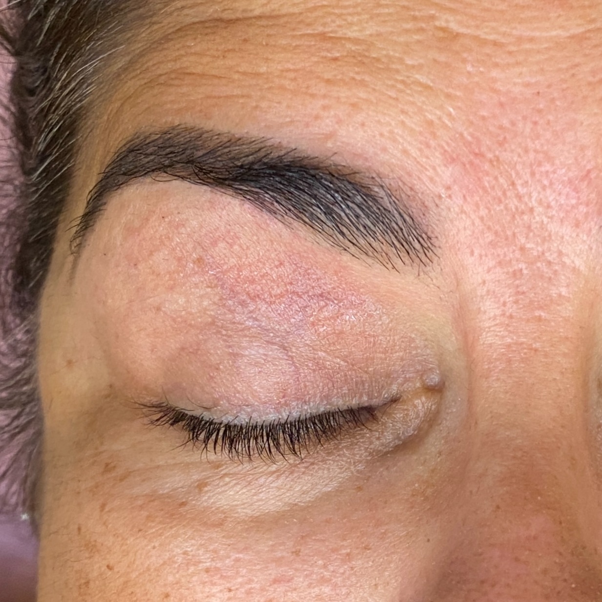 Brow Wax and Tint at The Rose View Studio in Melbourne, FL