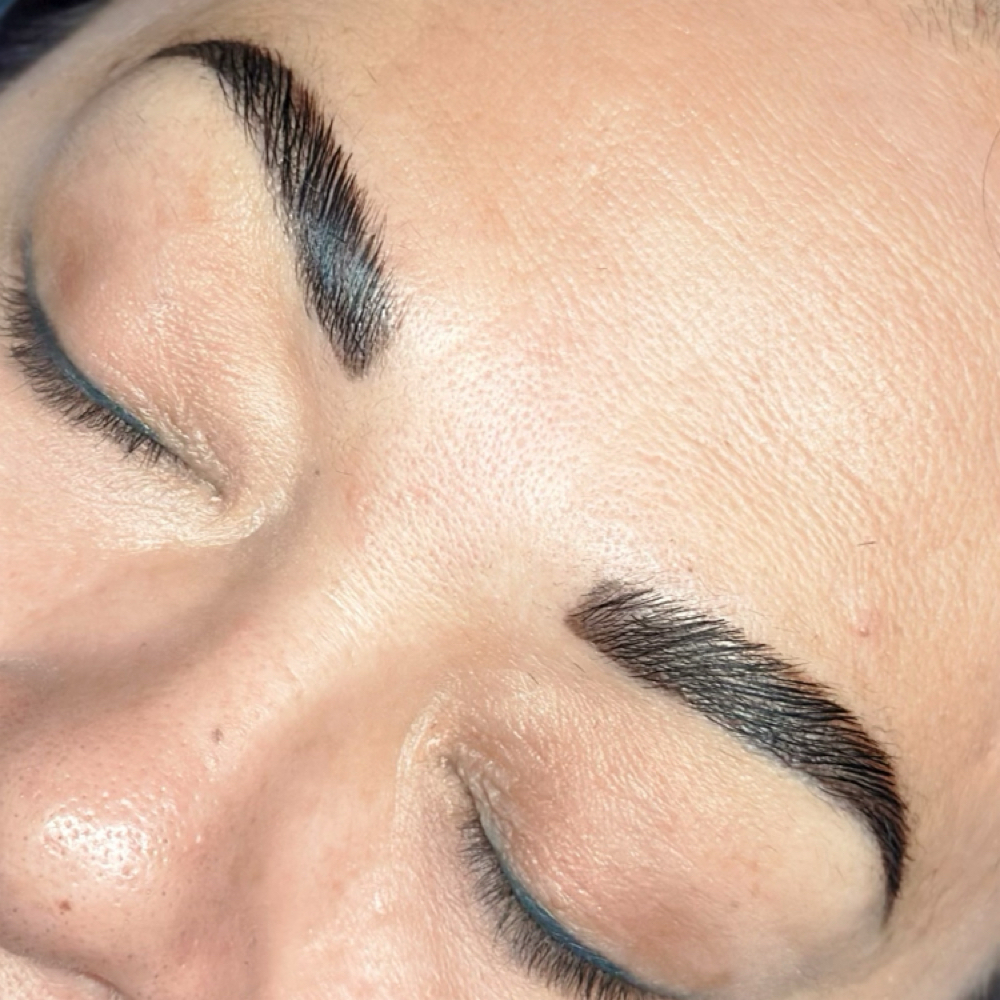 Brow Stain + Lamination at Meadow and Blush Beauty Bar in Temecula, CA