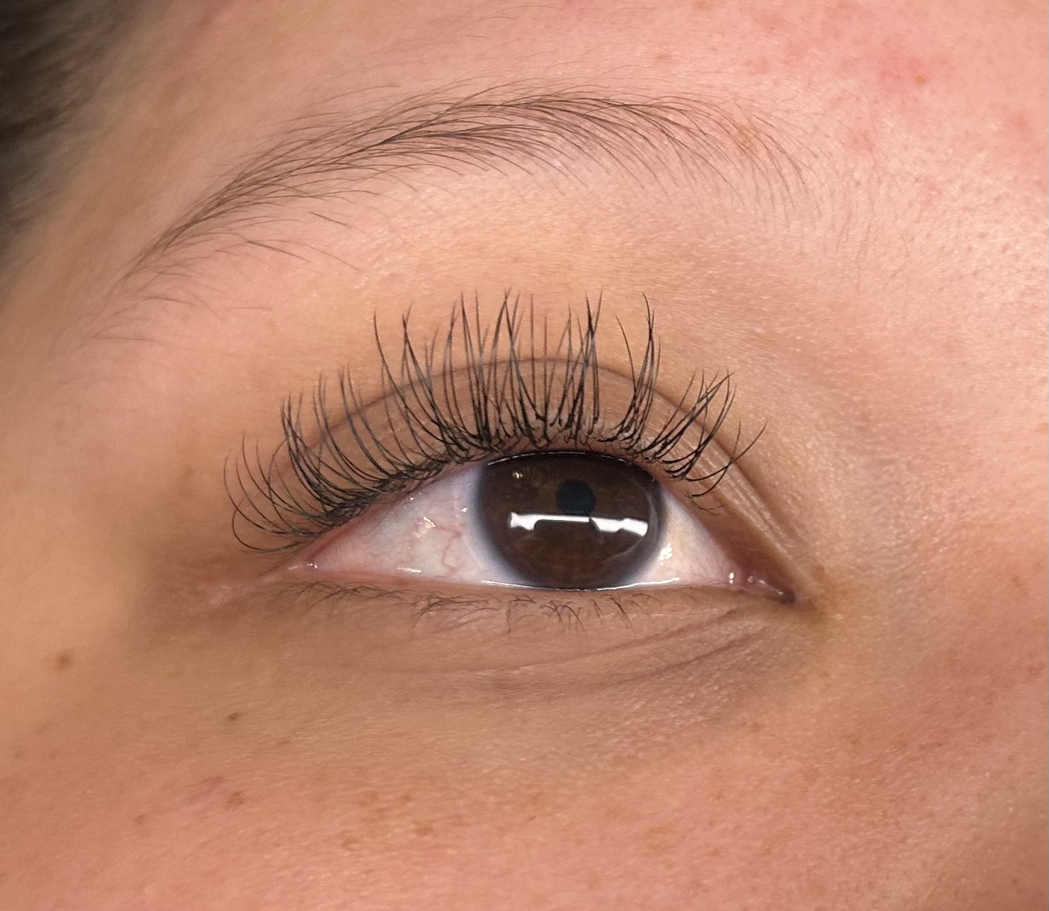 Classic Fill 3 Weeks