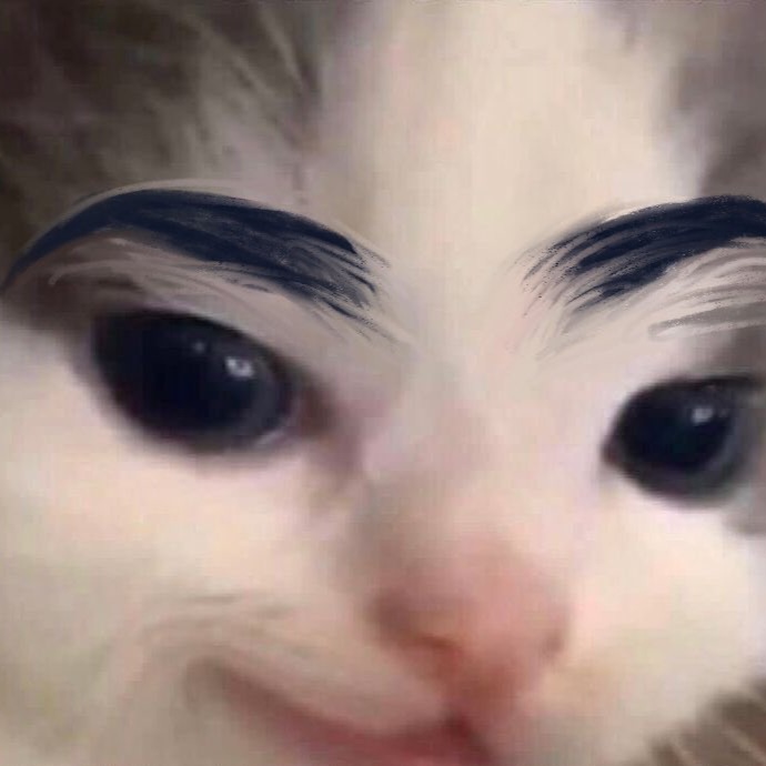 Brows (Add On Only)