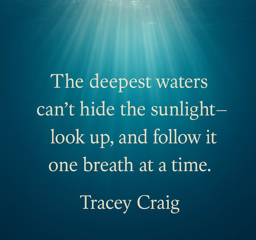 6 1 Hour Online Virtual Package at Tracey Craig Life Coach in Glen Mills, PA