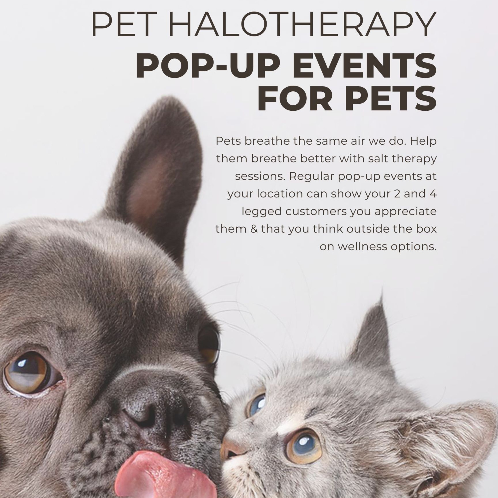 Pampered Pet Party Pop-Up at Essential Salt Spa in Minnetonka, MN