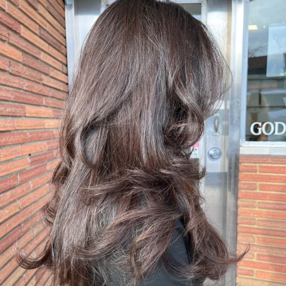 Signature Layered Cut & Blowout at Emily and Hair in Clovis, CA