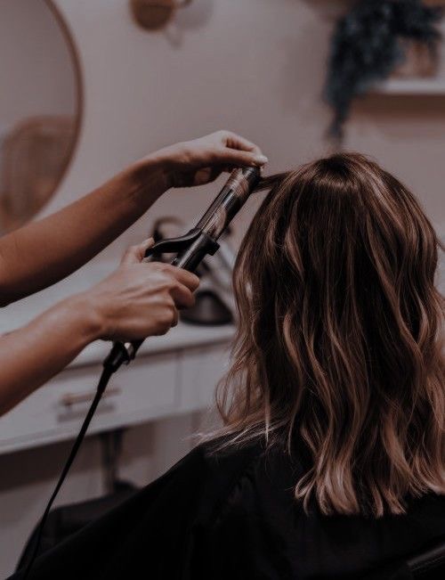 Shampoo + Cut + Style