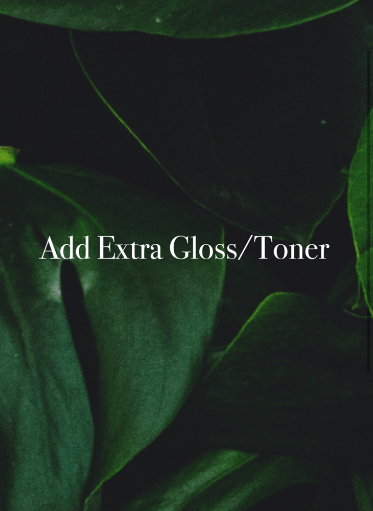 Add Extra Gloss/Toner at Anestie Beauty Lounge in Franklin Square, NY