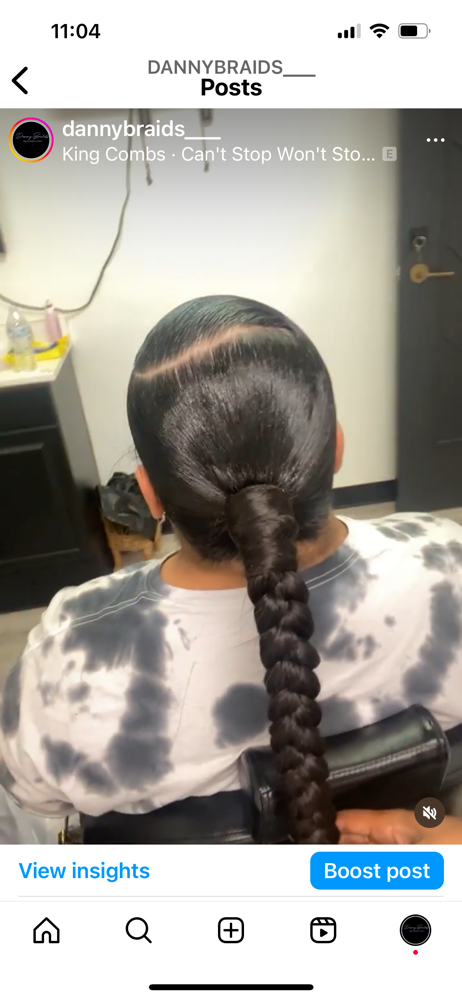 Sleek Braided ponytail Long Braided