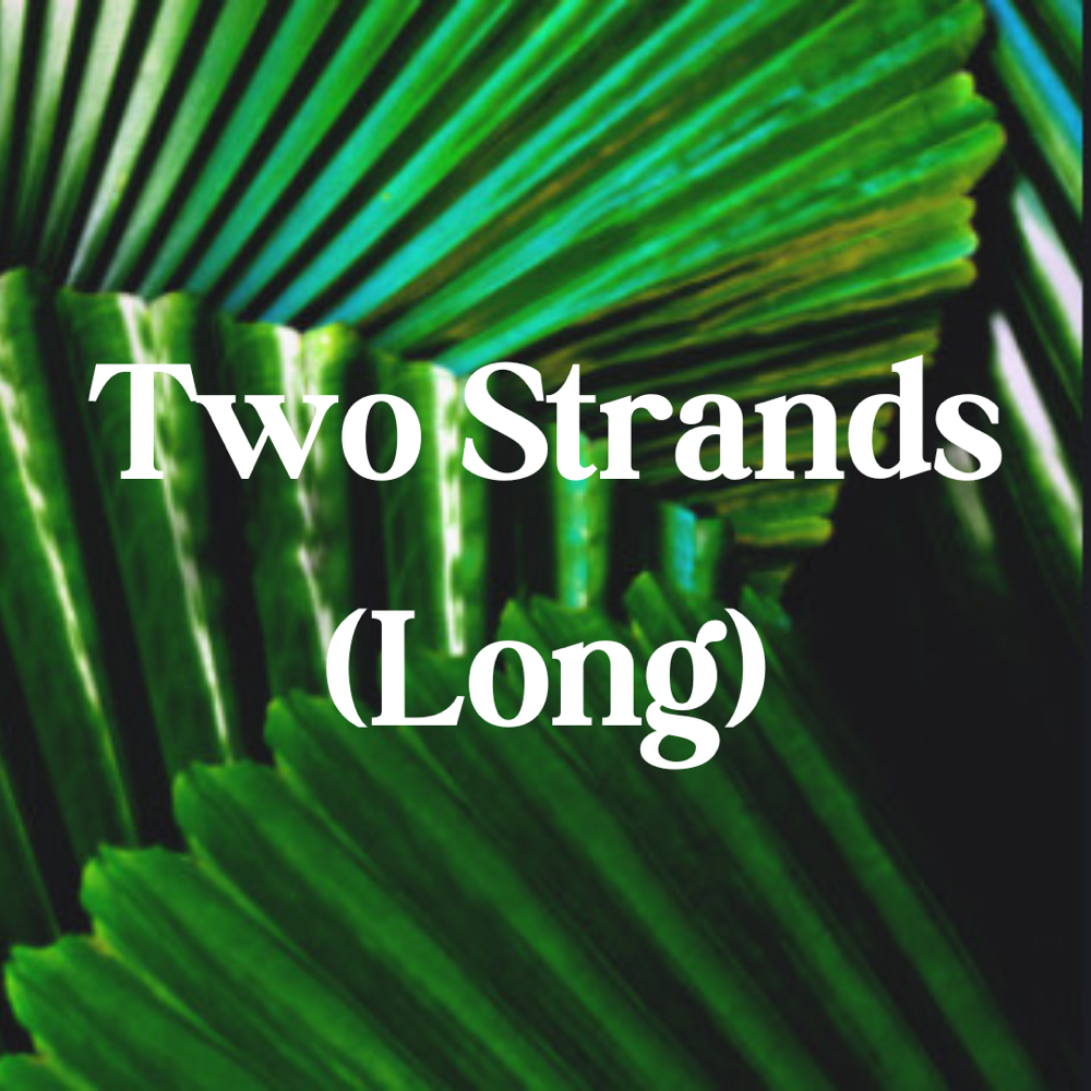 Two Strands - Long Locs