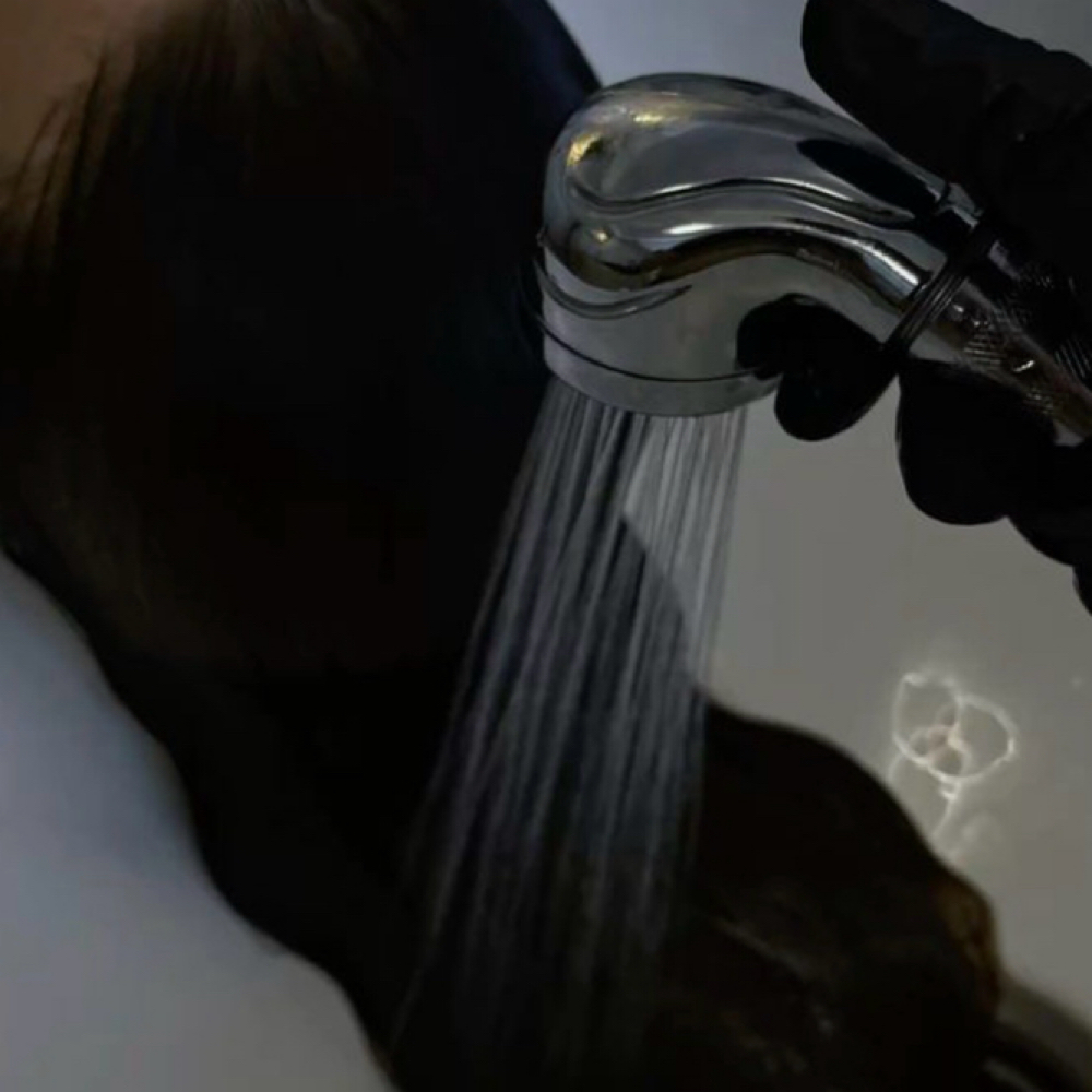 Shampoo & Style at Chelsea Marshall in Alpharetta, GA