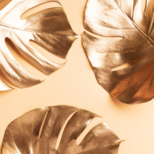 Scalp Exfoliation Treatment