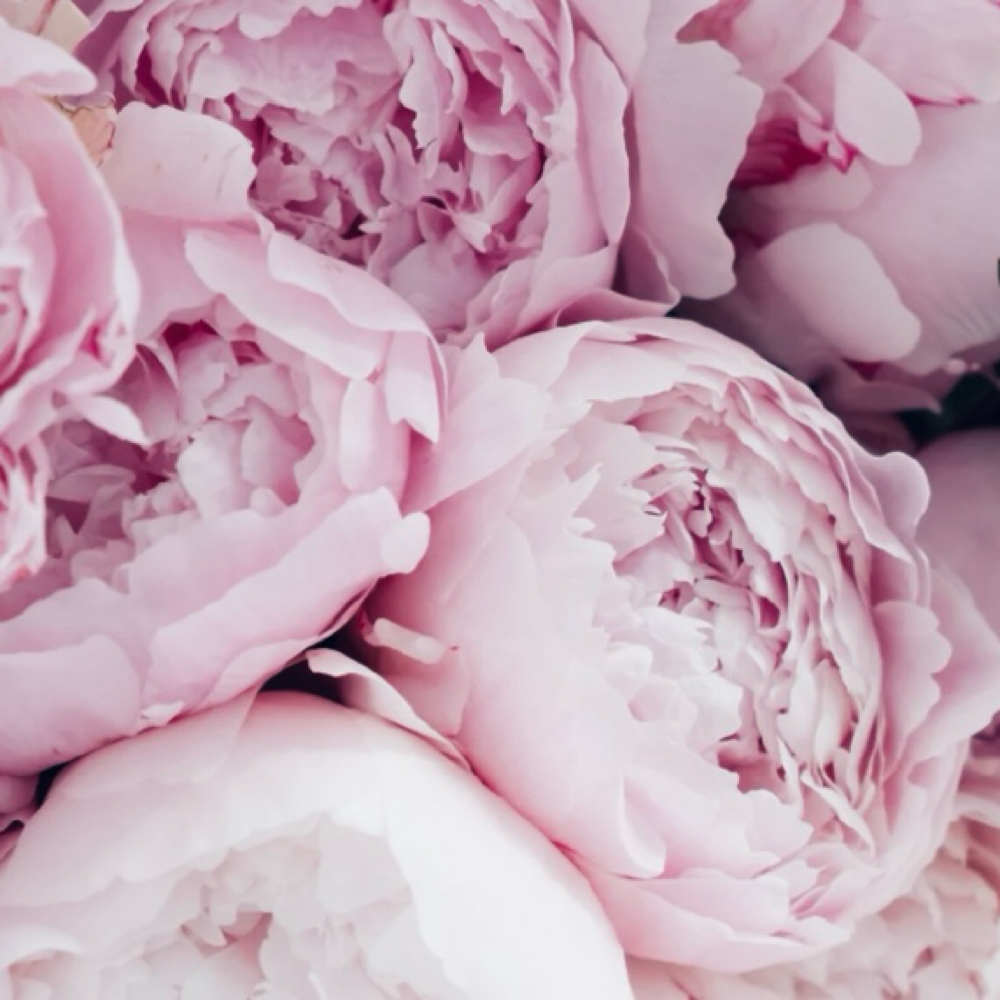 Total Glow Package at Pretty Girls Beauty Studio in Plantation, FL