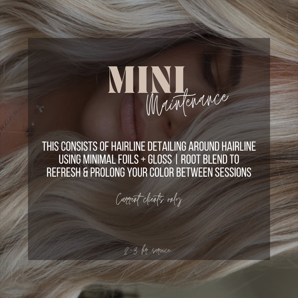 Mini Maintenance at Hair By Cassy and Team in Frisco, TX