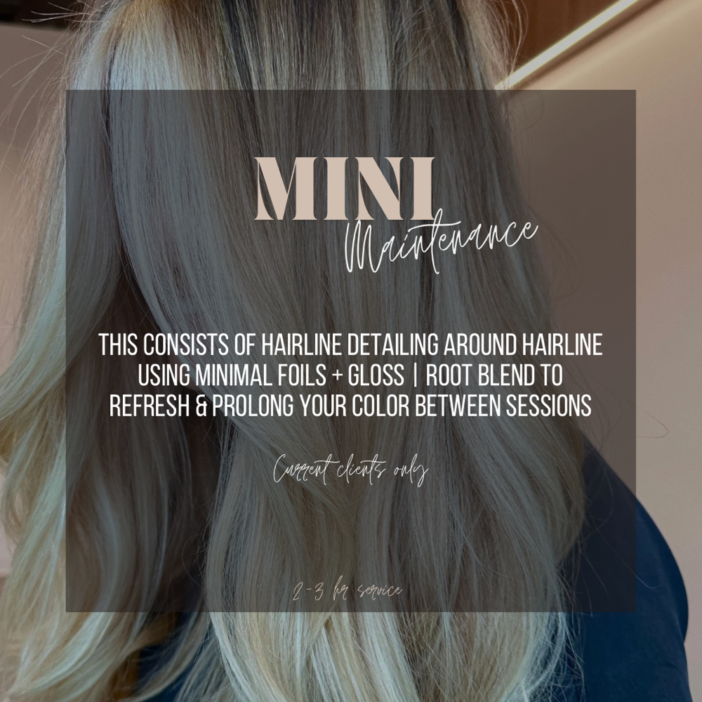 Mini Maintenance