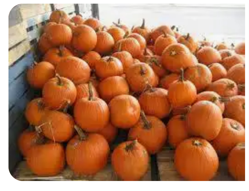 Cozy Seasonal Pumpkin Glow Facial