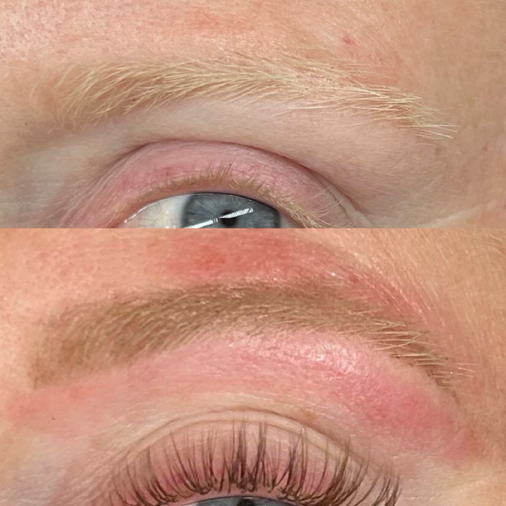 Brow Wax + Hybrid Tint at Exquisite Studios in Lady Lake, FL
