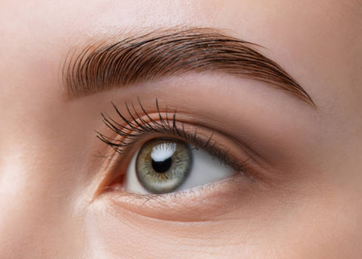 Brow Tint