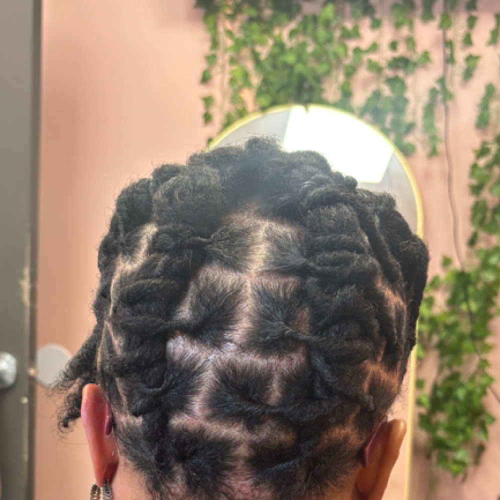 Large Loc Retwist (up To 50) at Natural Beauty by Donecia in Knoxville, TN