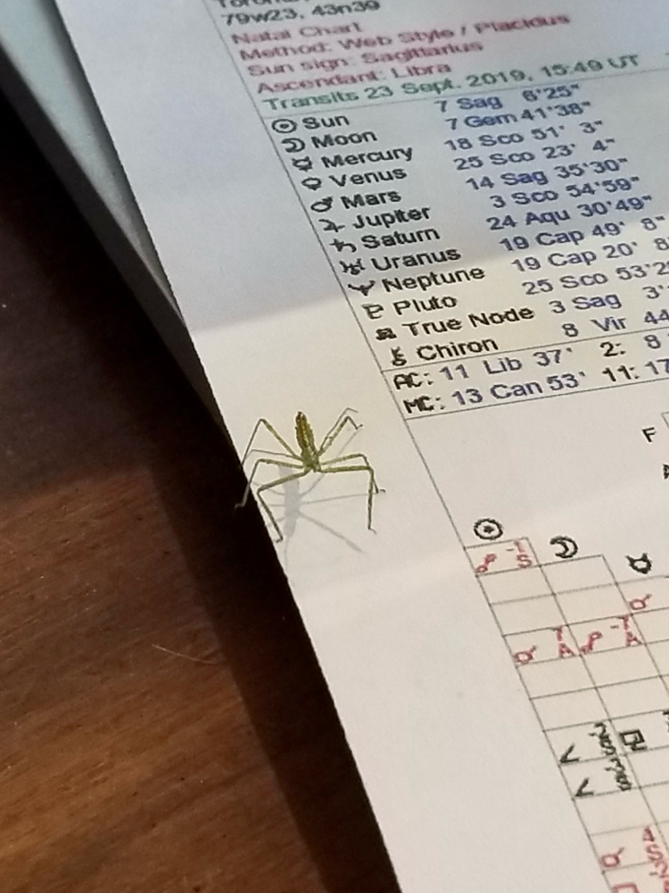 Mutable Astrology Chart Reading