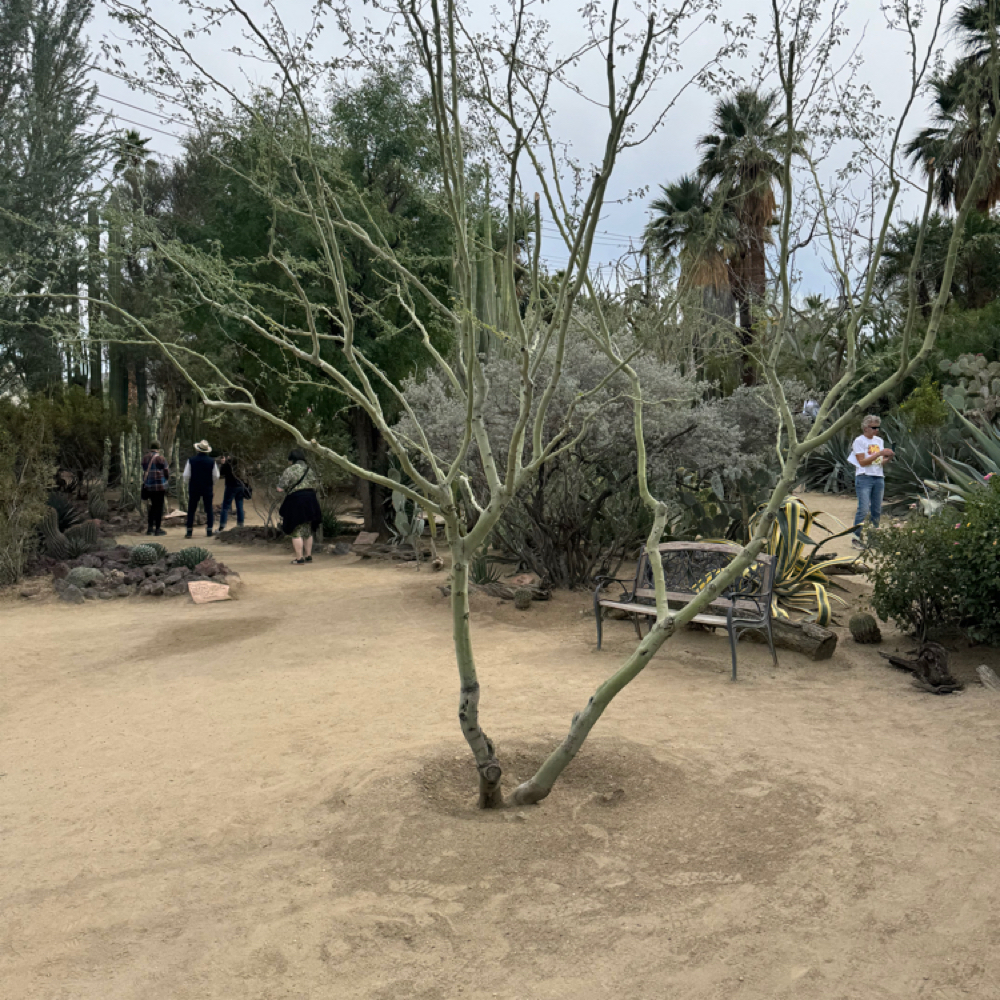 Install: Hair Tinsel Or Feathers at Indigo Salon @ Beaumont in Lexington, KY