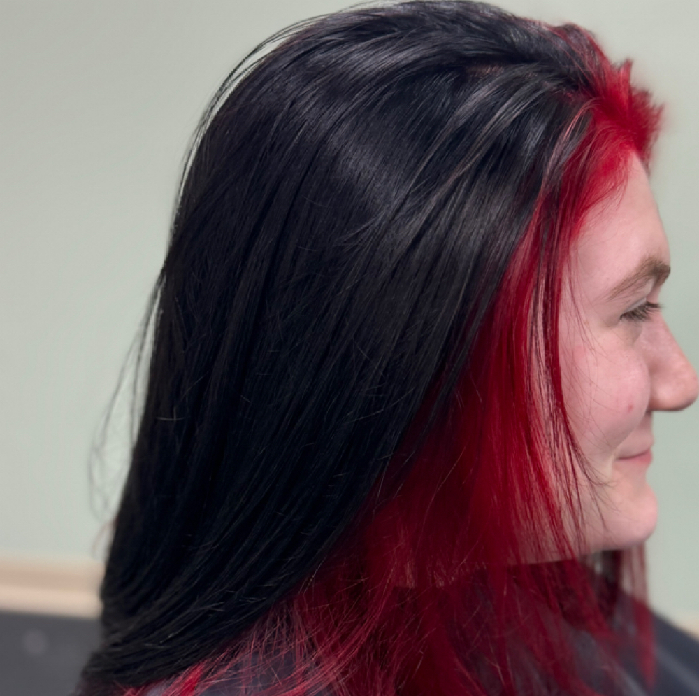 Luxe Split Shade Color (Two-Tone) at Hair by Misti-Lee @ Salon Cabelo in Winston Salem, NC