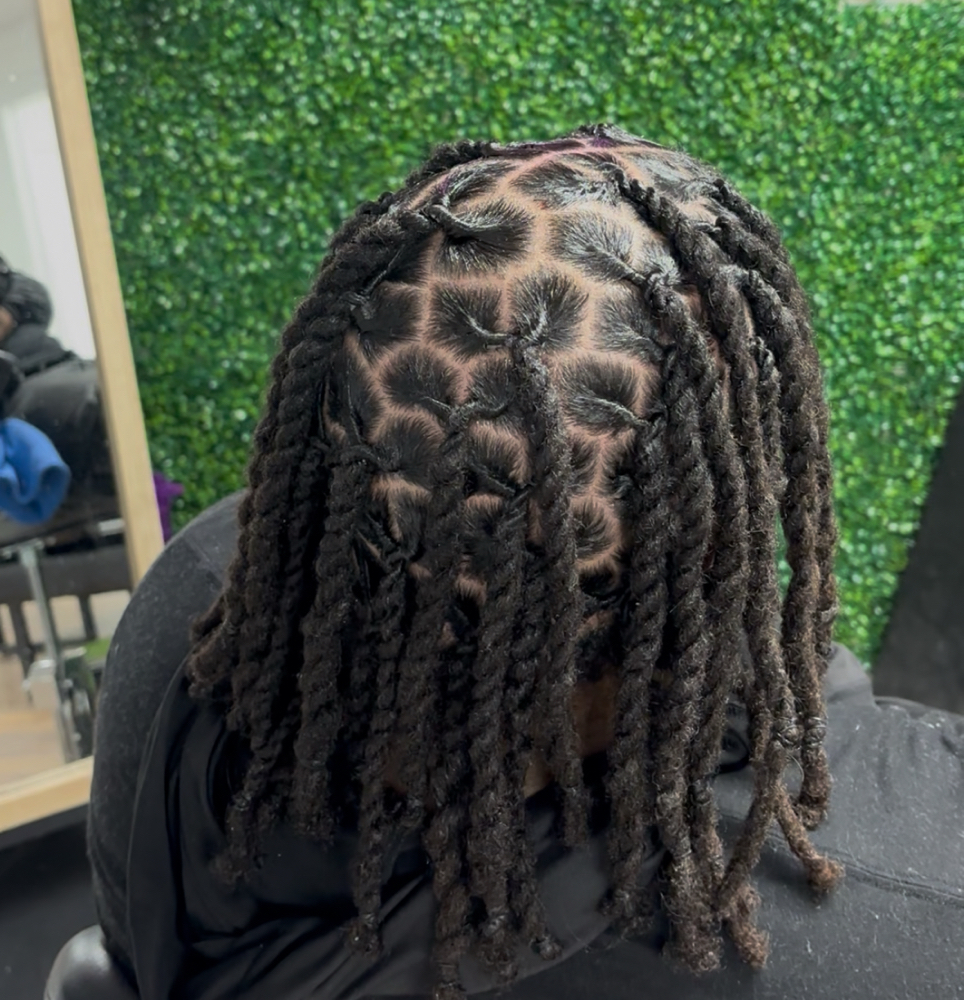 Retwist + Two Strand Twists