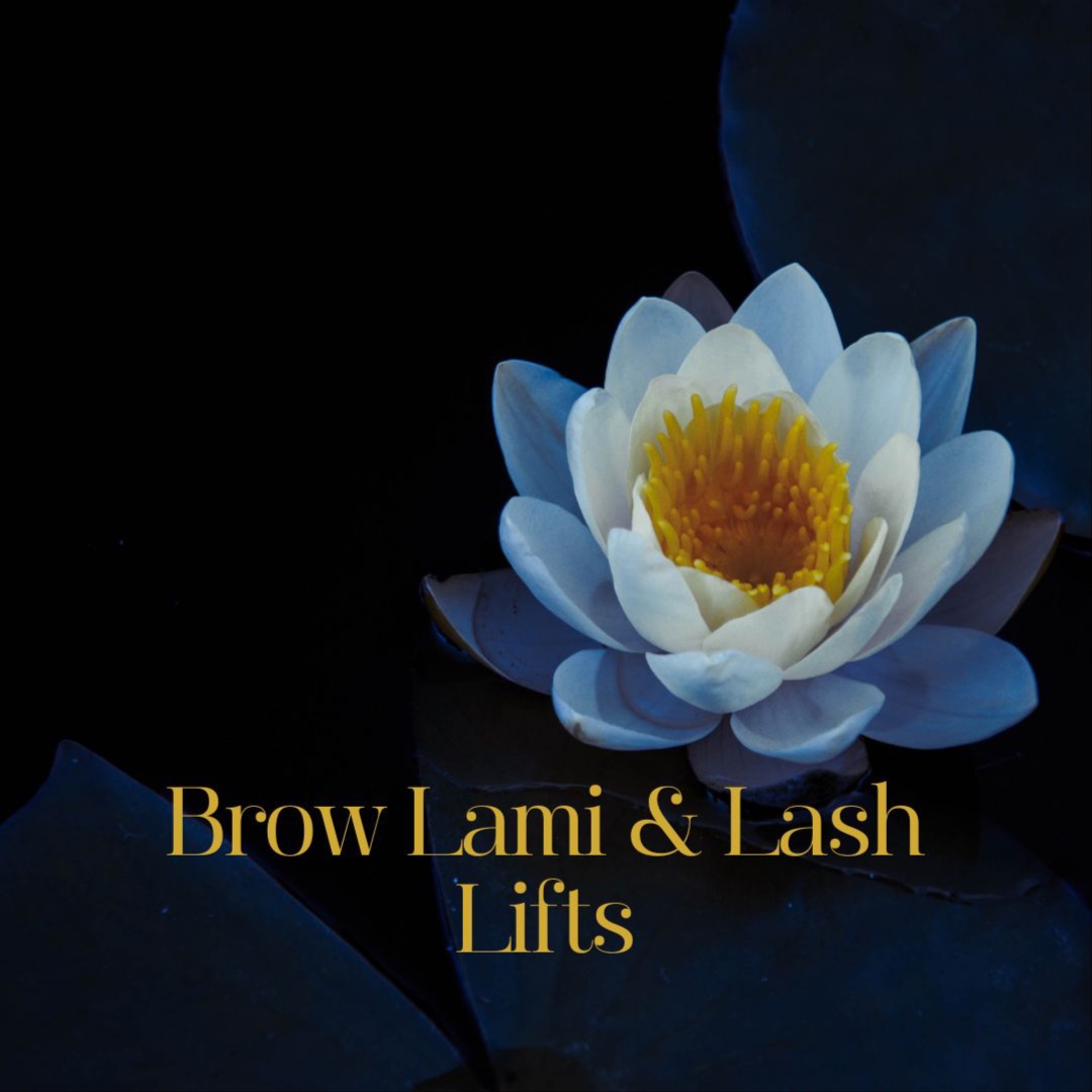 Brow Lami & Lash Lift at Blue Lotus Beauty Spa in Sheboygan, WI