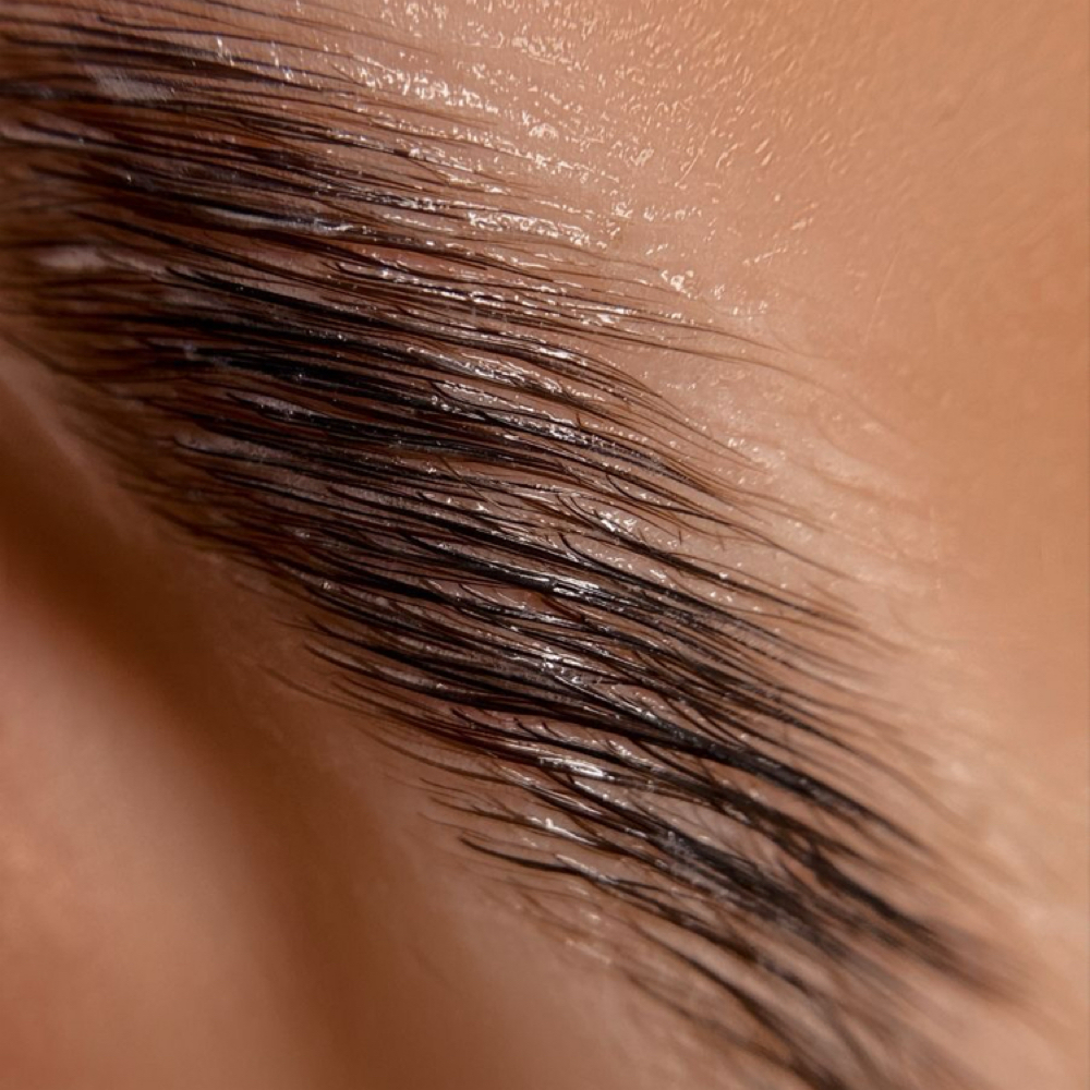 Brow Lamination Only at BML Beauty Co in Hutto, TX