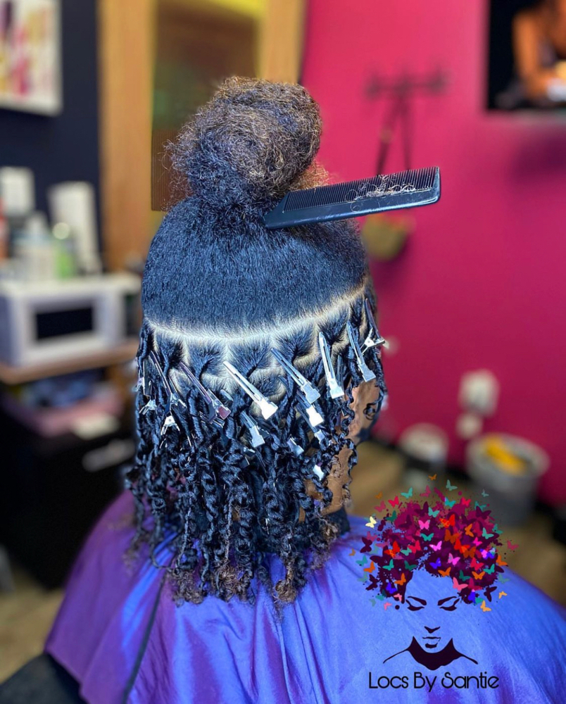 Full Head Starter Locs