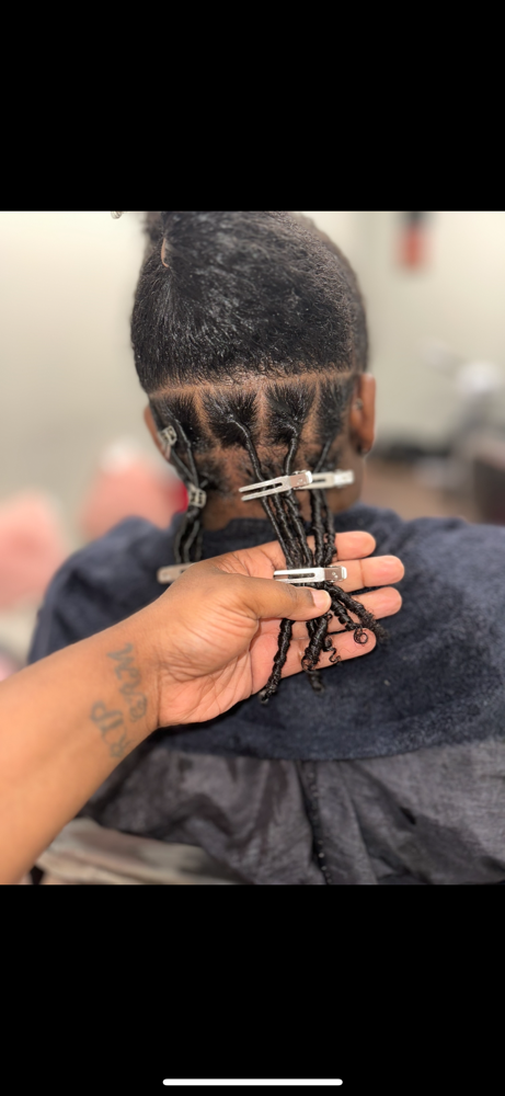 Medium Coil Starter Locs