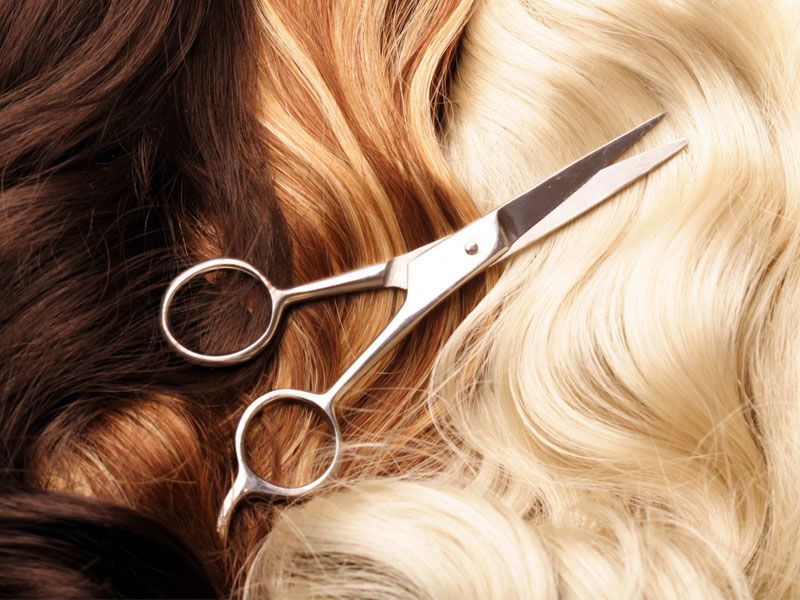 Shampoo, Haircut & Style (Women's)
