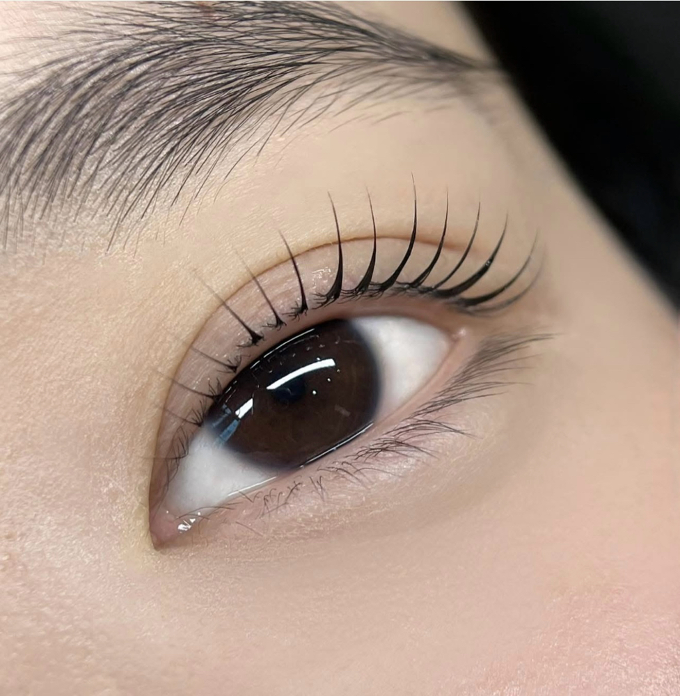 Korean Lash Lift