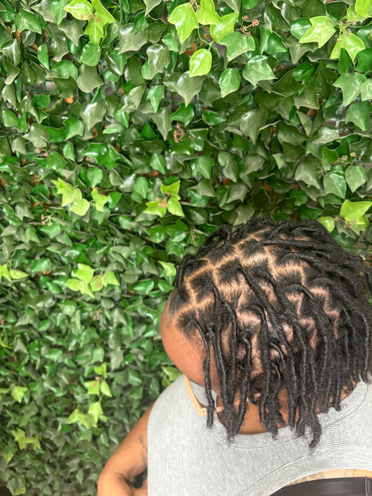 Loc Retwist