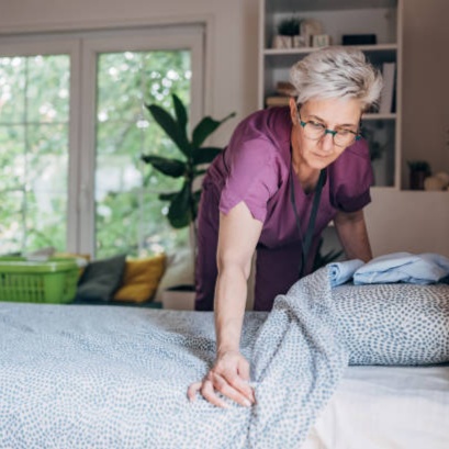 OC - Head Lice House Cleaning at Lice Treatment With Organic Lice Guru in San Marcos, CA