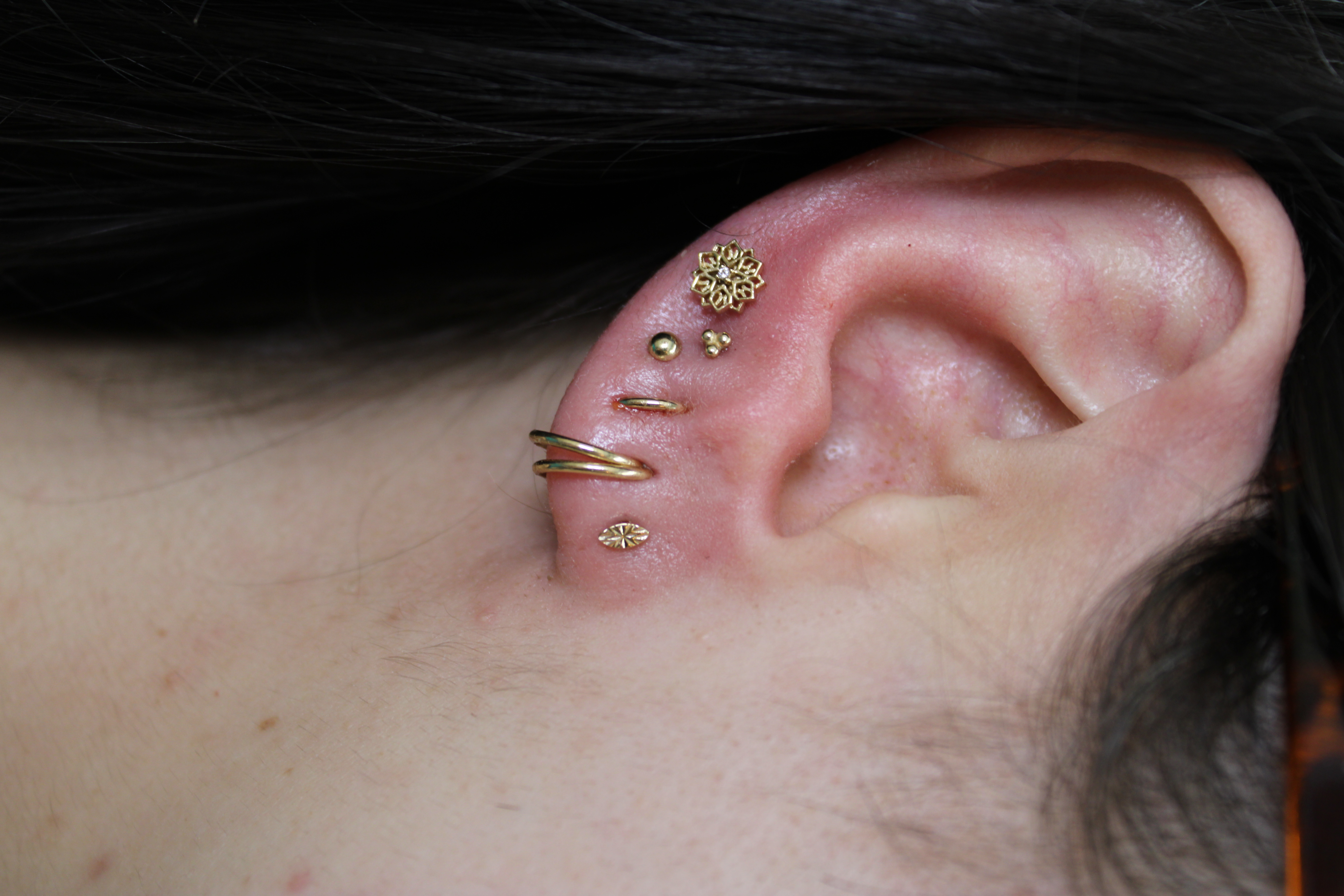 Ear Piercing Curation (Age 16+) at Inferno Body Arts in Madison, WI